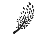 branch right black